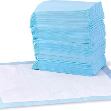 Basics Dog and Puppy Pee Pads, 5-Layer Leak-Proof Super Absorbent, Quick-Dry Surface, Potty Training, Regular (22x22"), 100 Count, Blue & White