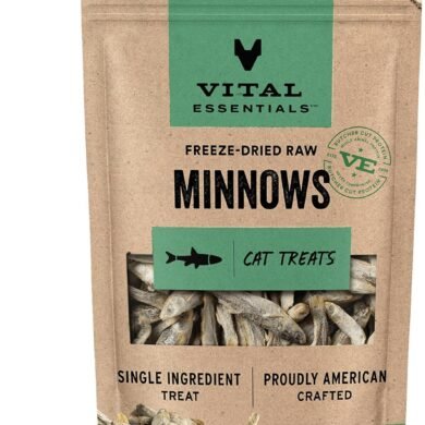 Vital Essentials Minnows Cat Treats, 1 oz | Freeze-Dried Raw | Single Ingredient | Grain Free, Gluten Free, Filler Free
