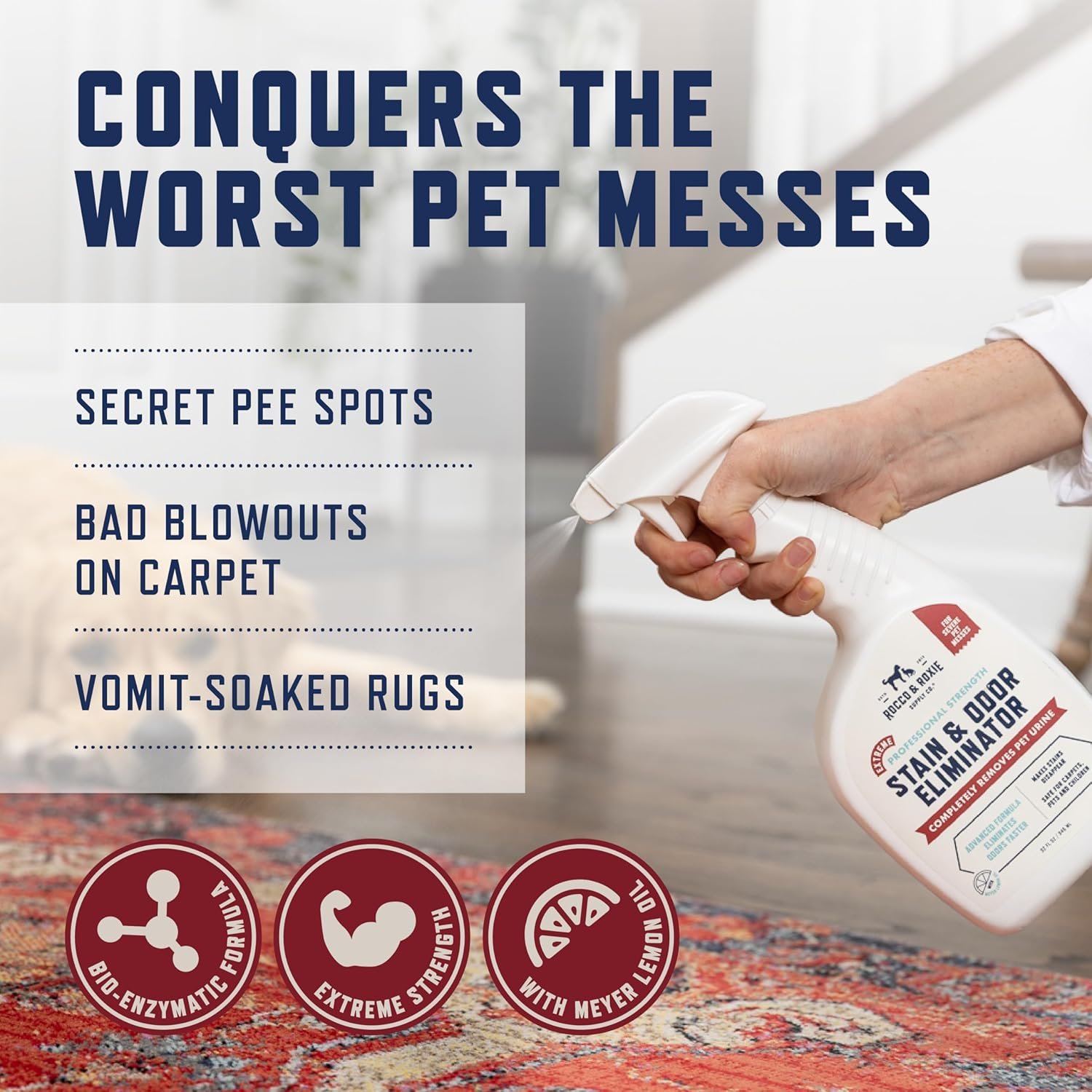 Rocco & Roxie Extreme Stain & Odor Eliminator for Strong Odor, Pet Urine Enzyme Cleaner Destroyer, Stain Remover, Dog Poop and Cat Pee, Enzymatic Carpet Cleaner Spray for Home, Puppy Potty Training - Image 5