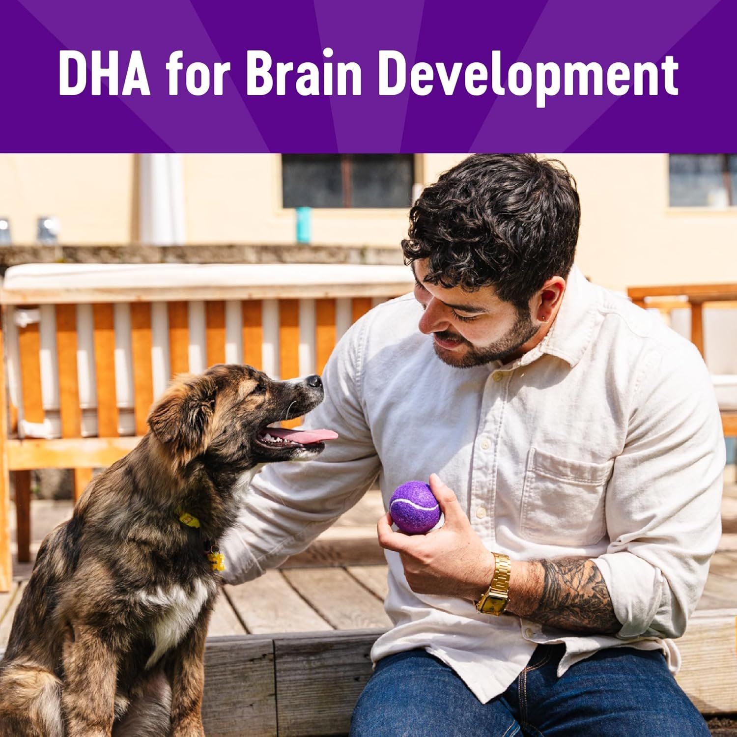 Wellness Puppy Treats, Natural, Training Treat, Grain Free, Soft Lamb & Salmon (8 Ounce Bag) - Image 3