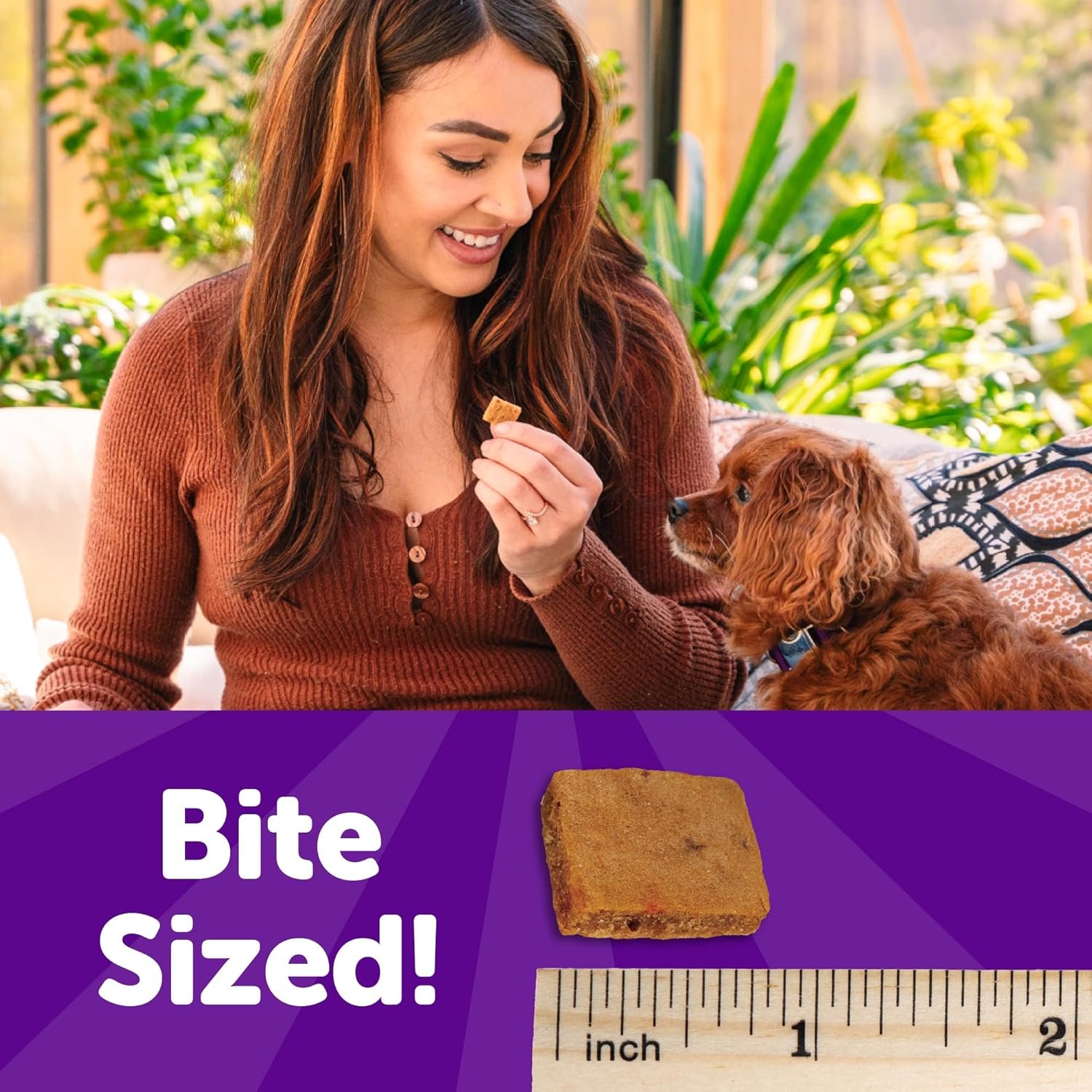 Wellness Puppy Treats, Natural, Training Treat, Grain Free, Soft Lamb & Salmon (8 Ounce Bag) - Image 4