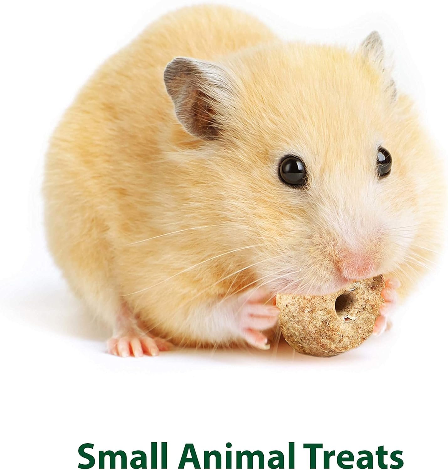 Kaytee Timothy Biscuits Baked Treat for Pet Guinea Pigs, Rabbits & Other Small Animals, Apple, 4 oz - Image 5