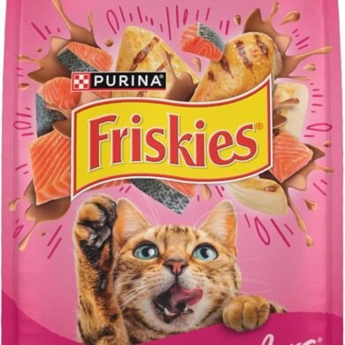Purina Friskies Gravy Swirlers With Flavors of Chicken, Salmon and Gravy Dry Cat Food - 3.15 lb. Bag