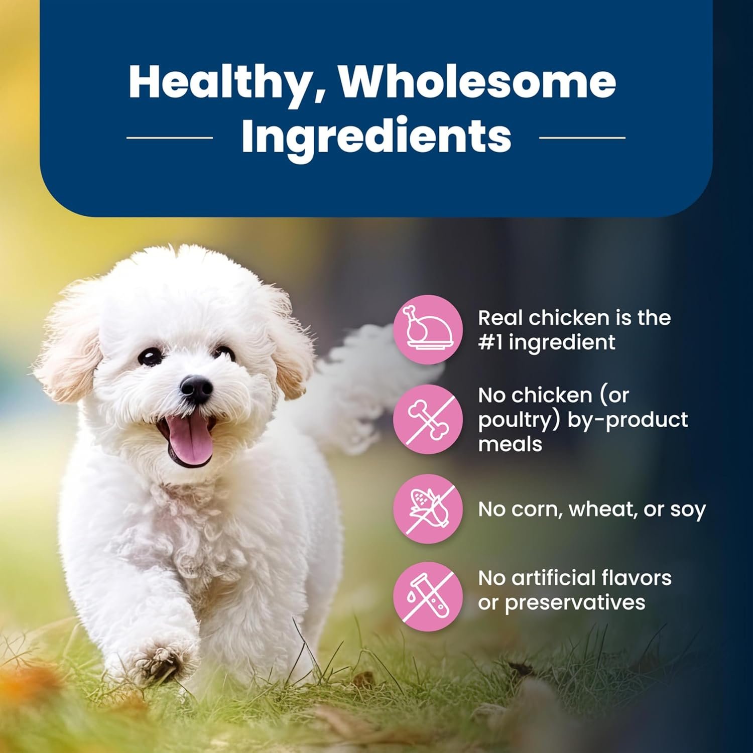 Blue Buffalo Life Protection Formula Adult Small Breed Dry Dog Food, Supports High Energy Needs, Made with Natural Ingredients, Chicken & Brown Rice Recipe, 5-lb. Bag - Image 6