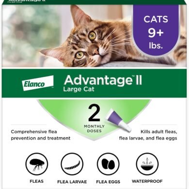 Advantage II Large Cat Vet-Recommended Flea Treatment & Prevention | Cats Over 9 lbs. | 2-Month Supply