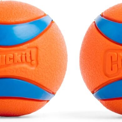 Chuckit! Ultra Ball Dog Toy - Medium Bouncy Fetch Balls For Dogs 20-60 lbs - Made from Durable Rubber - Floating Water Pet Toys - Size Medium - 2.5-inch Diameter - Pack of 2