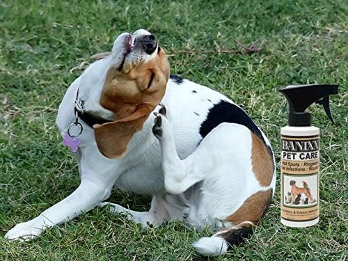 BANIXX Horse and Pet Care Spray, Skin Support for Horses, Dogs, and Cats, Alcohol-Free, Non-Staining, No Odor, Made in USA, All-Weather Grooming Formula, 2 oz - Image 4