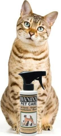 BANIXX Horse and Pet Care Spray, Skin Support for Horses, Dogs, and Cats, Alcohol-Free, Non-Staining, No Odor, Made in USA, All-Weather Grooming Formula, 2 oz - Image 5