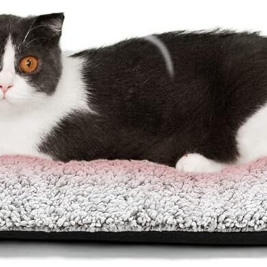 Self Warming Cat Bed Self Heating Cat Dog Mat 24 x 18 inch Extra Warm Thermal Pet Pad for Indoor Outdoor Pets with Removable Cover Non-Slip Bottom Washable Non Electric