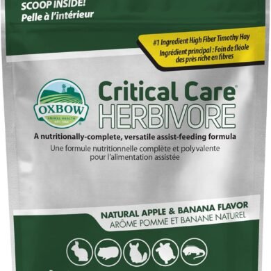 Oxbow Critical Care Herbivore, Emergency Guinea Pig Food, Rabbit Food for Recovery, Natural Apple Banana Flavor, Critical Care for Guinea Pig Emergency Kit, Made in USA, 141 Grams